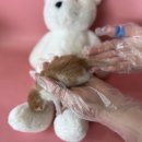 우창동로 이미지