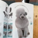 조이그루밍 이미지