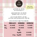 영종독 반려견 호텔, 유치원 이미지