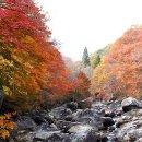 정수산장펜션 이미지