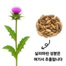 시민약국 이미지