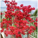 584 | 서울 근교 힐링 여행, 경기도 펜션 더스테이 584 독채펜션 후기