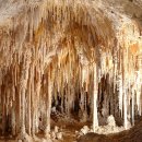 칼즈배드 이미지