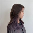 에코레비 에스테틱