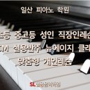 (1:1레슨)칼림바 개인레슨(30분) 이미지