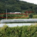 큰마을 농장 이미지