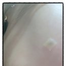 리온의원 이미지