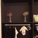 멍떼루와 이미지