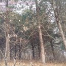 마전리진료소 이미지