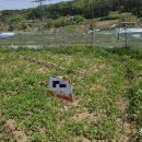 건양농장 이미지