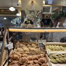 런던 애견하우스 | 잠실 테디뵈르하우스 롯데월드몰점 크루아상 에그타르트 맛집 애견동반 가능 핫플 베어커리카페