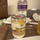 테라스파이브