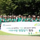 나무사랑 이미지