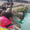 성산원광어린이집 이미지