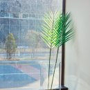 아침햇살한의원 이미지