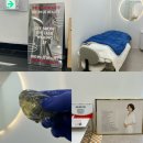 한국메디뷰티 | 잠실왁싱 SHE IN US 한국메디뷰티 눈썹왁싱 만족후기