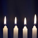 수원-0114 이미지