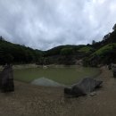 지리산황금나무 | 🏯 하동 삼성궁 | 지리산 품에 안긴 신비로운 돌의 왕국