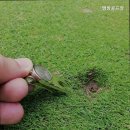 상맹방길 이미지