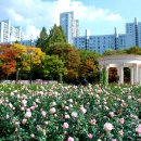 꽃향기 머무는 곳 이미지