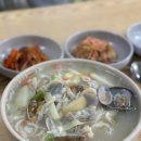 둘리칼국수