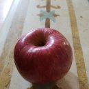 병규농장 이미지