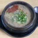 특별편 1) 갱인제주