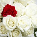 예담산부인과의원 이미지