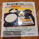 그루캣 | 일본 도쿄 여행 2