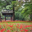 보령 나들이 1코스 이미지