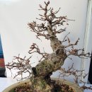 소사농장 이미지