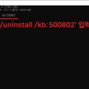 블루스크린 이미지