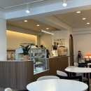 사파동113 이미지