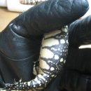 돼지세끼 이미지