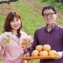 그린영농조합법인