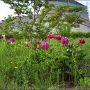 동남공원 이미지