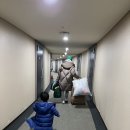 [‘23.정선] 양평휴게소(원주방향), 메이힐스리조트, 하이원 스키