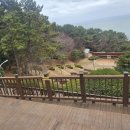 달맞이어울마당 네이버블로그