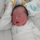 연세사랑모아여성병원 이미지