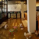 하이뭉치 유치원 이미지