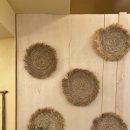 바바라 발리 이미지