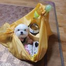 하단할머니 이미지