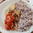 도고한식출장뷔페 | 호치민 현지인이 만든 6천원의 행복, 한국보다 더 한국 같은 출장 한식 뷔페 후기 (지도 링크 추가)