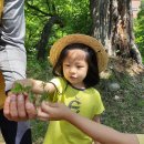 예원 어린이집 이미지