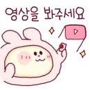 아끌로네 이미지