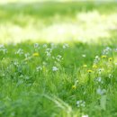 남상천한의원 이미지