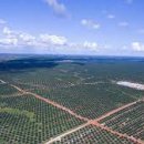 독점농장 이미지