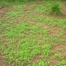 일광농장 이미지