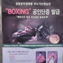 용인대NEW복싱 이미지