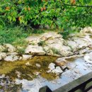 한방곱창 이미지